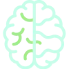 brain